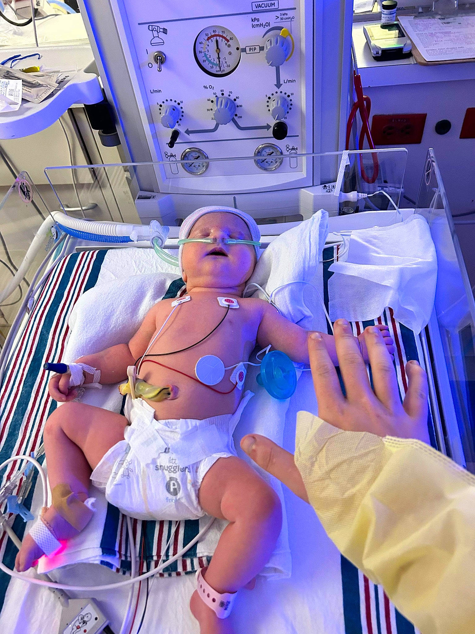 Winter is registered to the contest to win money with this photo: abdomen, animation, blue, brassiere, chest, electric_blue, entertainment, event, fun, hat, human_leg, leisure, lingerie, medical, medical_equipment, navel, person, purple, service, thigh