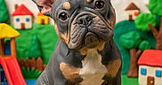 Anari joined the competition — help win amazing prizes! animal, background, childlike, colorful, cute, decor, dog, figurine, french_bulldog, greenery, house, indoors, model, pet, playground, puppy, rainbow, sculpture, slide, toy