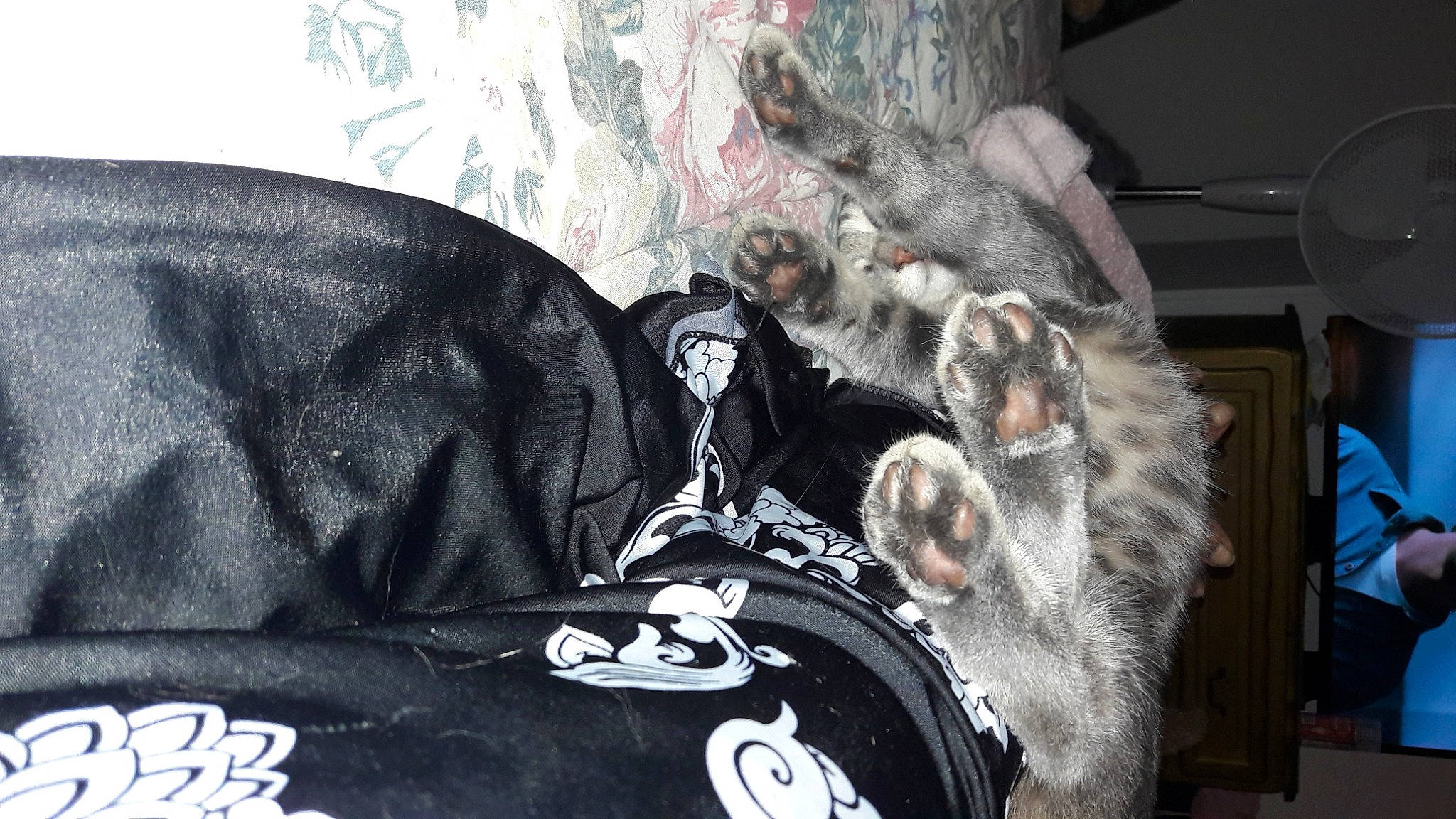 Zatsou a rejoint le concours — aidez-le/la à gagner de superbes lots ! animal_product, beard, facial_hair, fictional_character, fur, fur_clothing, leather, natural_material, snout