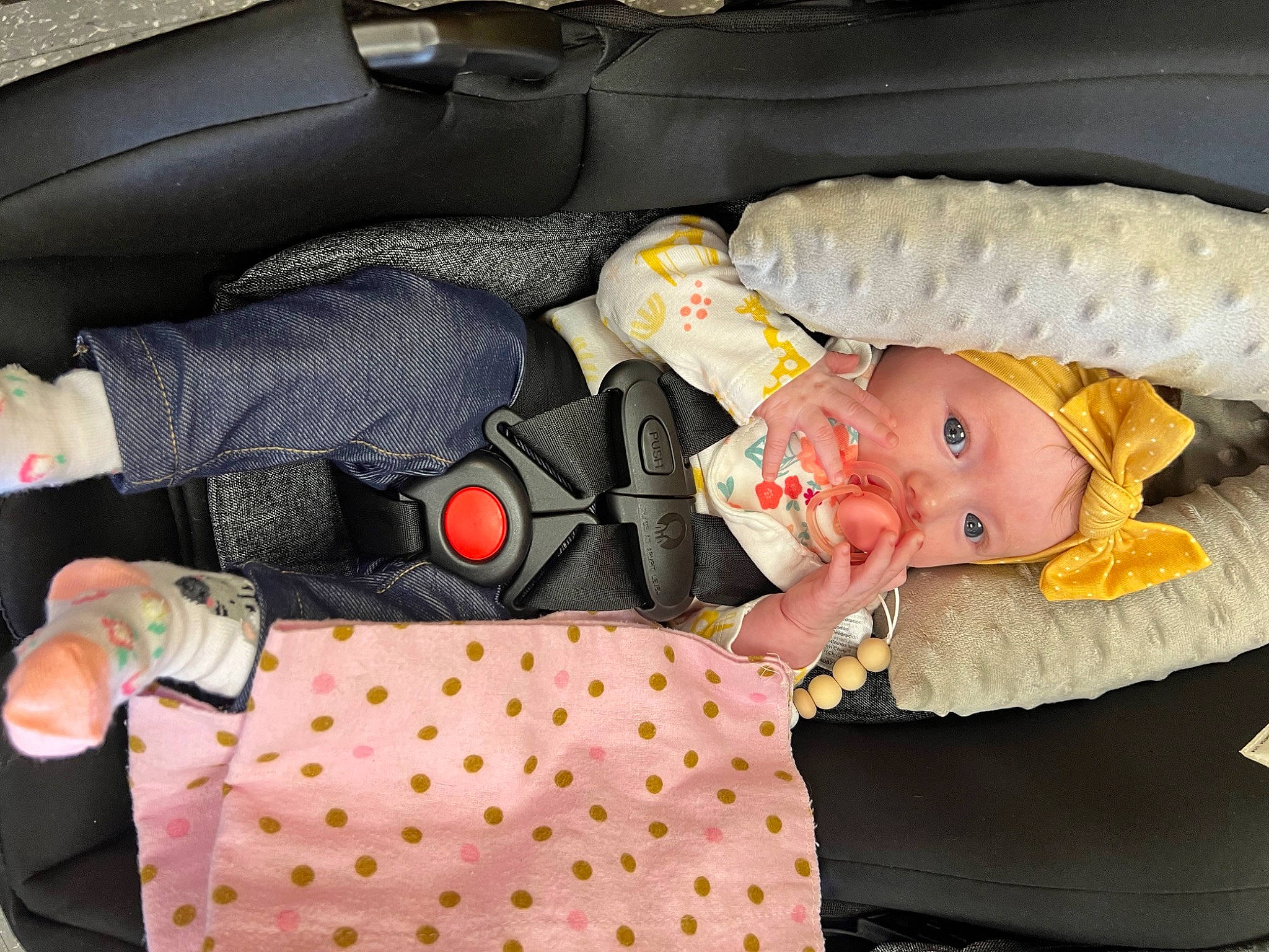 Madeleine joined the competition — help win amazing prizes! auto_part, baby, baby_carriage, baby_products, baby_toddler_clothing, car_seat, car_seat_cover, child, comfort, family_car, lap, linens, pattern, person, product, sitting, textile, toddler, vehicle_door, white