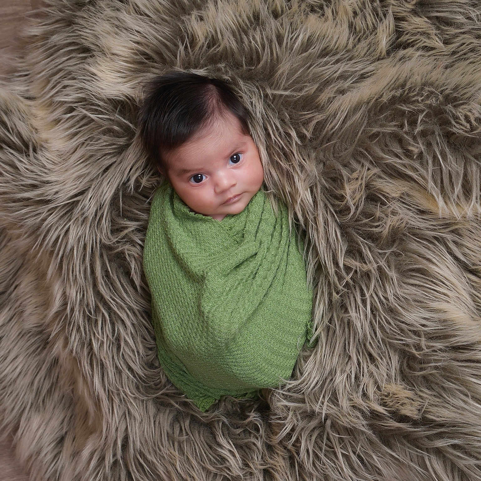 Parshv is registered to the contest to win money with this photo: baby, blanket, clothing, couch, face, fur, furniture, happy, hat, head, hood, hoodie, knitwear, person, photography, portrait, scarf, smile, sweater, sweatshirt
