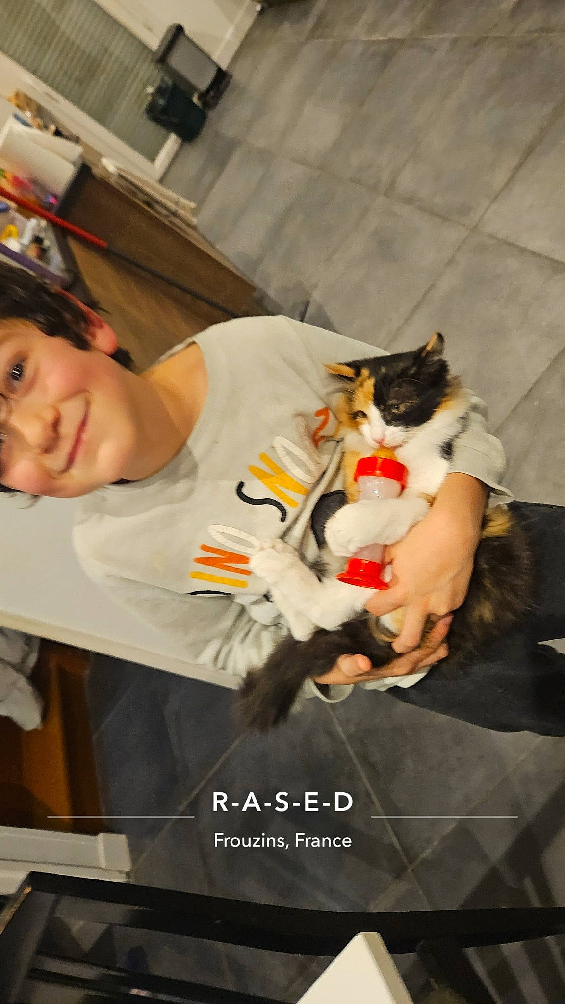 Aki a rejoint le concours — aidez-le/la à gagner de superbes lots ! canidae, carnivore, cat, child, companion_dog, cooking, domestic_short_haired_cat, felidae, fun, fur, lap, photo_caption, room, sitting, small_to_medium_sized_cats, smile, t_shirt, tail, whiskers