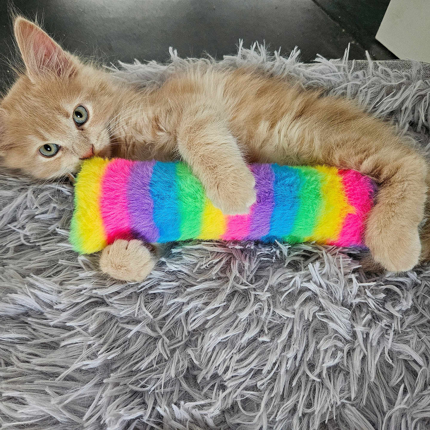 Natsu