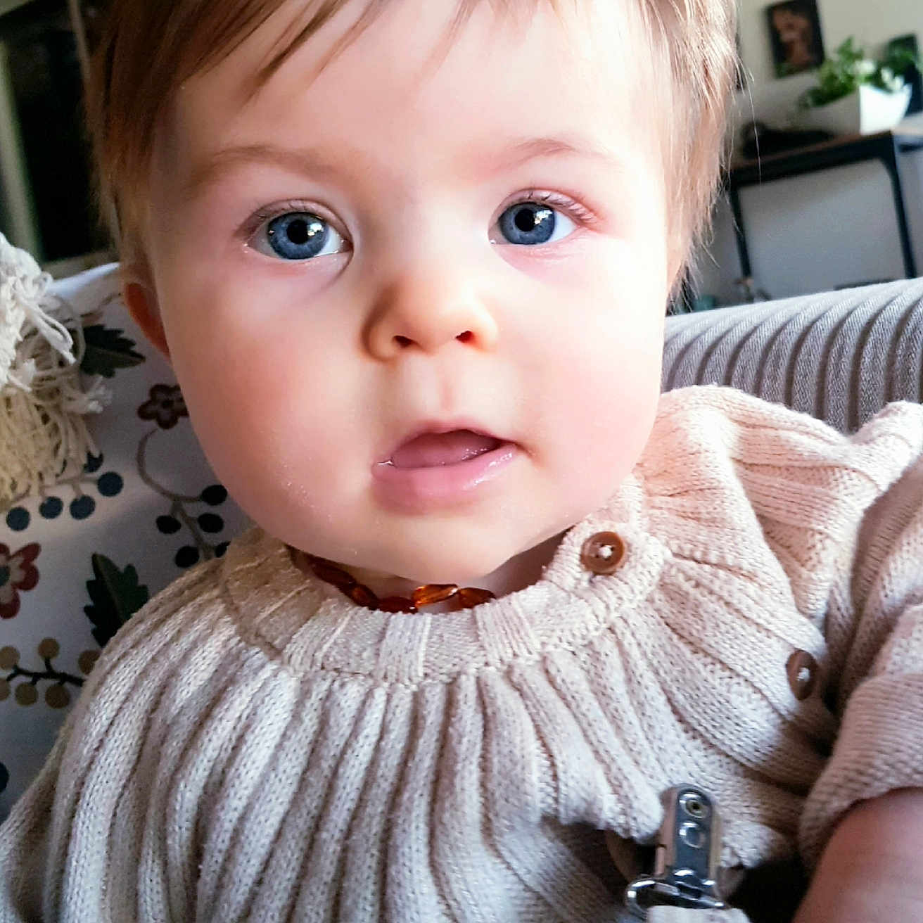 Jenny participe au concours pour gagner de l'argent avec cette photo : baby, blanket, blue_eyes, buttons, cheeks, child, close_up, couch, curious_expression, face, hair, indoor, infant, knitwear, living_room, pacifier_clip, plant, portrait, sitting, sweater