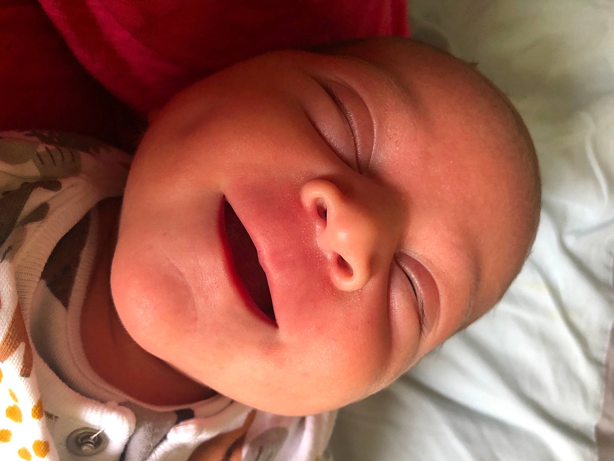 Alistair is registered to the contest to win money with this photo: baby, cheek, chin, comfort, ear, eye, eyebrow, face, forehead, gesture, hair, head, human_body, iris, lip, mouth, neck, nose, person, skin