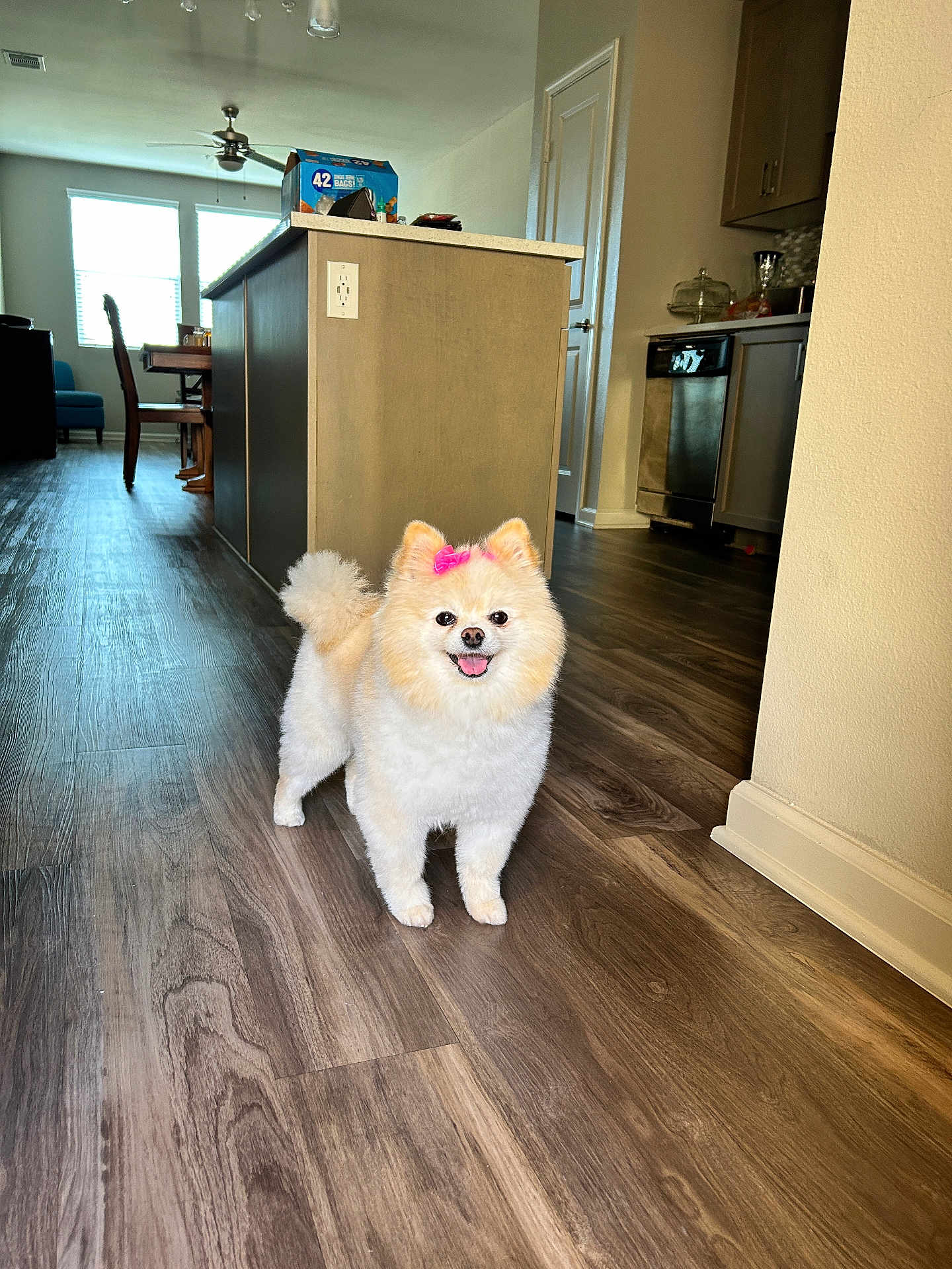 Luna