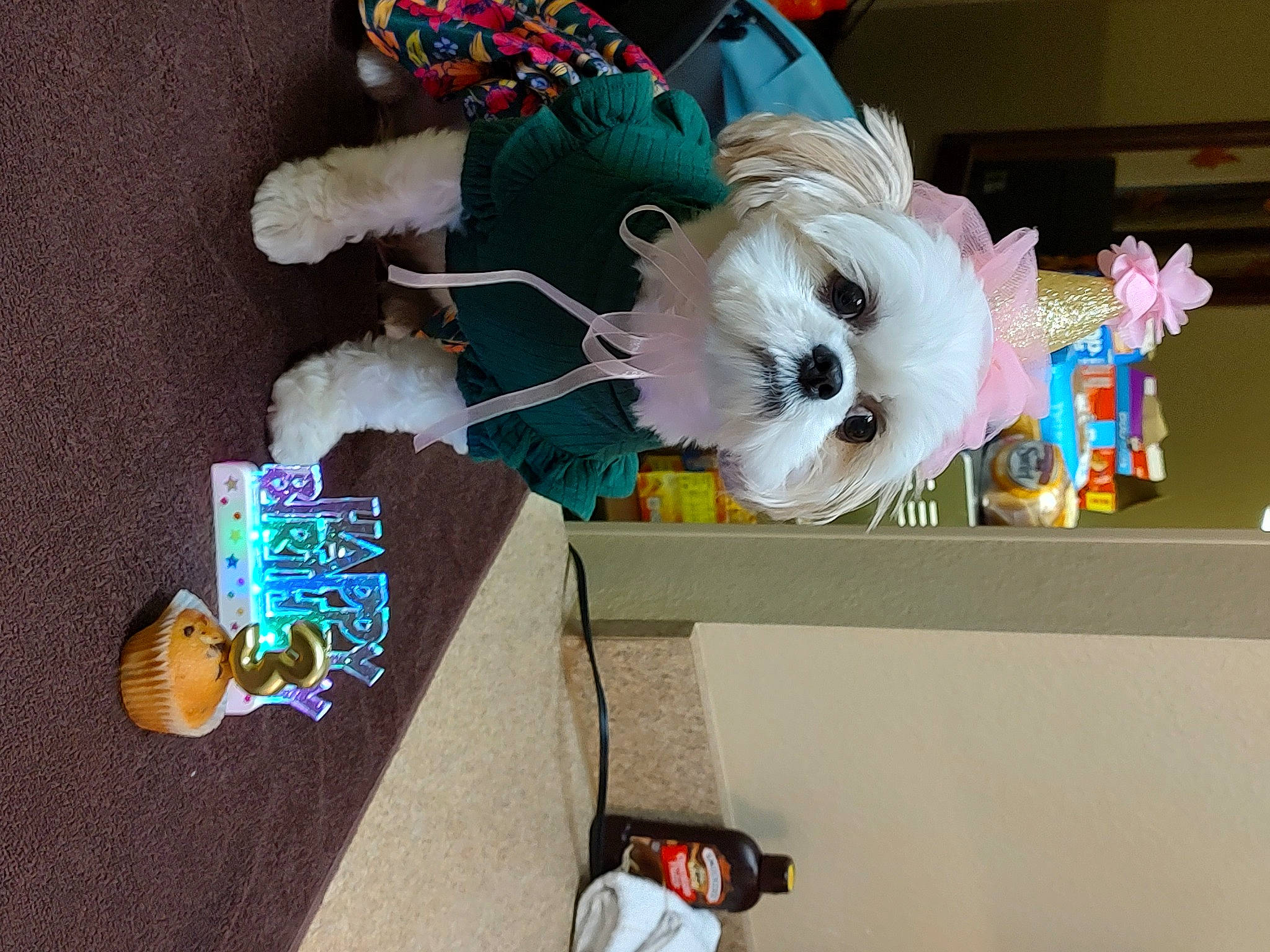 Bindi Sue joined the competition — help win amazing prizes! animation, art, baby_toys, collection, event, fur, plastic, plush, product, room, stuffed_toy, toy, tree, visual_arts