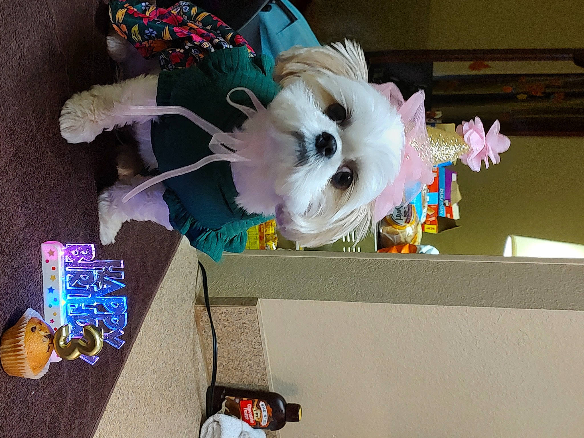 Bindi Sue joined the competition — help win amazing prizes! art, baby_toys, carmine, collection, costume, event, feather, fur, pink, plastic, plush, room, stuffed_toy, toy, visual_arts