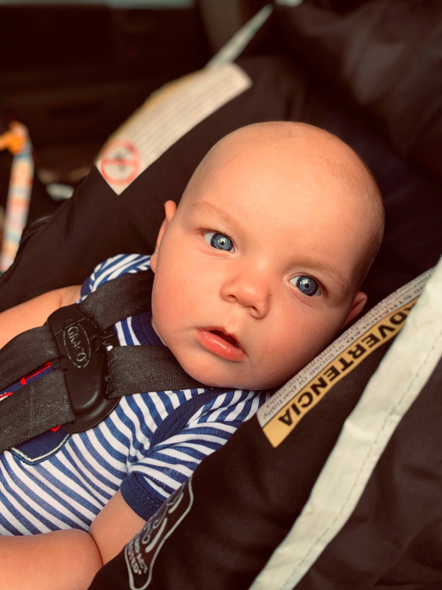 Brody joined the competition — help win amazing prizes! baby, baby_carriage, baby_products, baby_toddler_clothing, cheek, chin, comfort, eye, eyebrow, eyelash, flash_photography, happy, iris, lip, nose, person, sitting, skin, sleeve, t_shirt