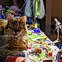 cat, tabby, winking, tongue_out, crafting_supplies, table, thread, tools, colorful, sunlight, fluffy_fur, indoor, cluttered, closeup, pet, animal, feline, wool, plastic_bags, hobby