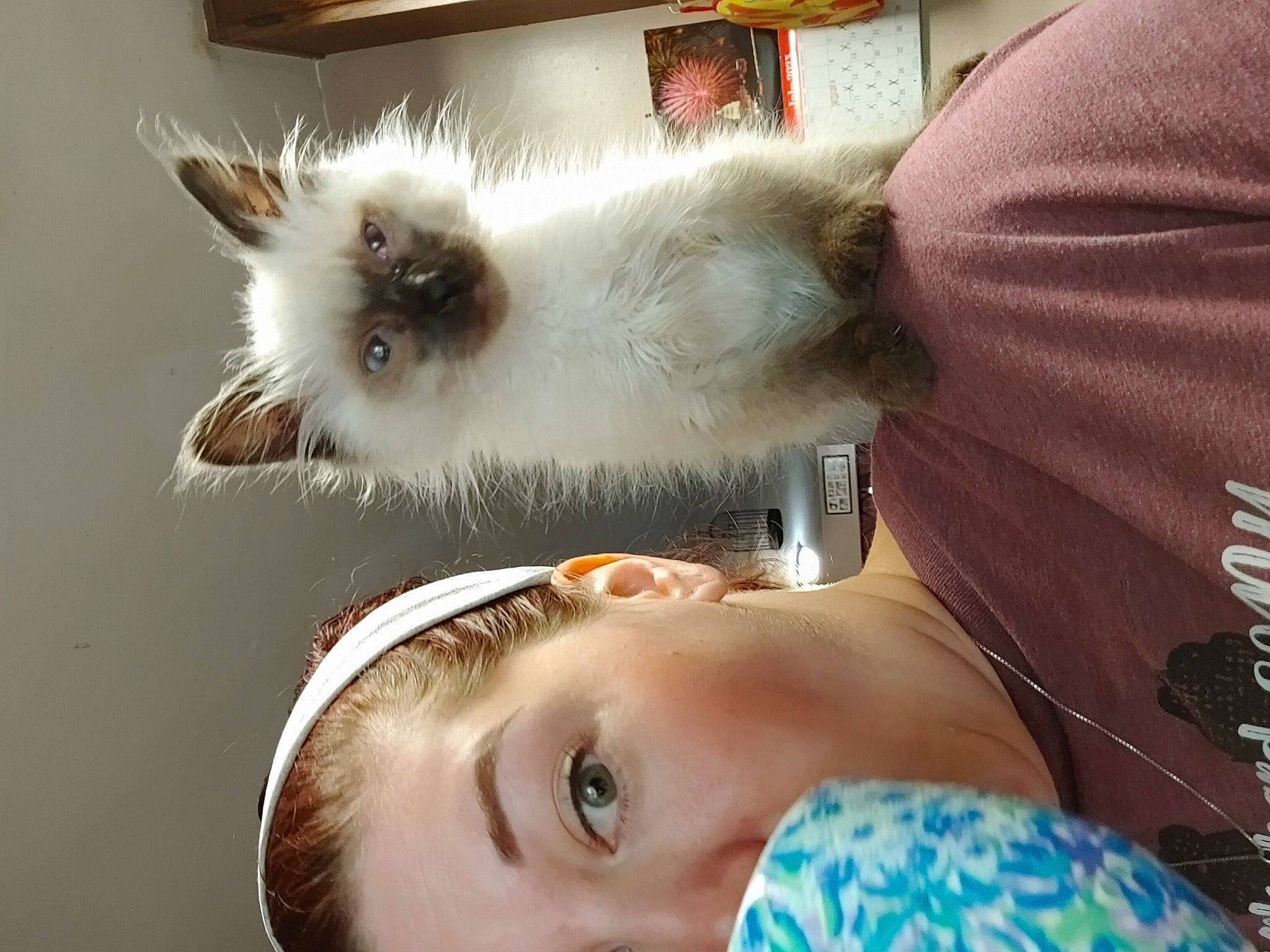 Meows joined the competition — help win amazing prizes! birman, carnivore, cat, chest, companion_dog, eyelash, eyewear, fawn, felidae, fur, happy, ragdoll, selfie, siamese, small_to_medium_sized_cats, sunglasses, tail, thai, toddler, whiskers