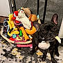dog, french_bulldog, toy, dog_toy, basket, carpet, indoor, pet, animal, black_and_white, cute, playful, chew_toy, stuffed_toy, colorful, floor, ears, pet_toys, domestic_animal, home
