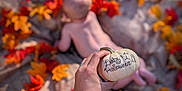 Brixlie is registered to the contest to win money with this photo: autumn, baby, blanket, blurred, celebration, child, cute, decor, fall_leaves, first_halloween, hand, holiday, nature, orange, outdoor, pumpkin, red, seasonal, skin, yellow
