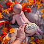 baby, autumn, fall_leaves, pumpkin, hand, blanket, outdoor, seasonal, holiday, child, first_halloween, orange, yellow, red, decor, nature, skin, blurred, celebration, cute