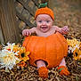 baby, pumpkin, hat, knitted, orange, leaves, flowers, autumn, outdoor, cute, smiling, sitting, child, seasonal, nature, fall, happy, footwear, wood, background