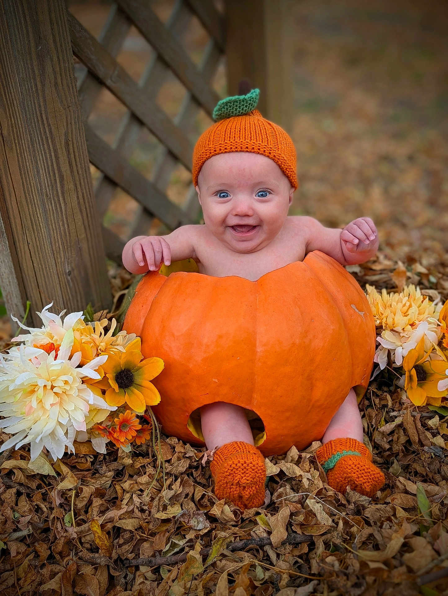 Brixlie is registered to the contest to win money with this photo: baby, pumpkin, hat, knitted, orange, leaves, flowers, autumn, outdoor, cute, smiling, sitting, child, seasonal, nature, fall, happy, footwear, wood, background