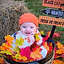 baby, child, autumn, fall_leaves, basket, orange_hat, pajamas, smiling, outdoor, hay_bale, halloween_sign, festive, colorful_leaves, cute, seasonal, nature, grass, portrait, happy, holiday