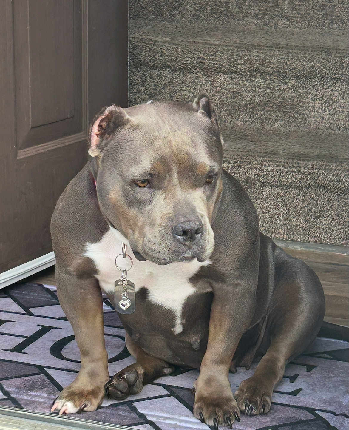 Dutchess
