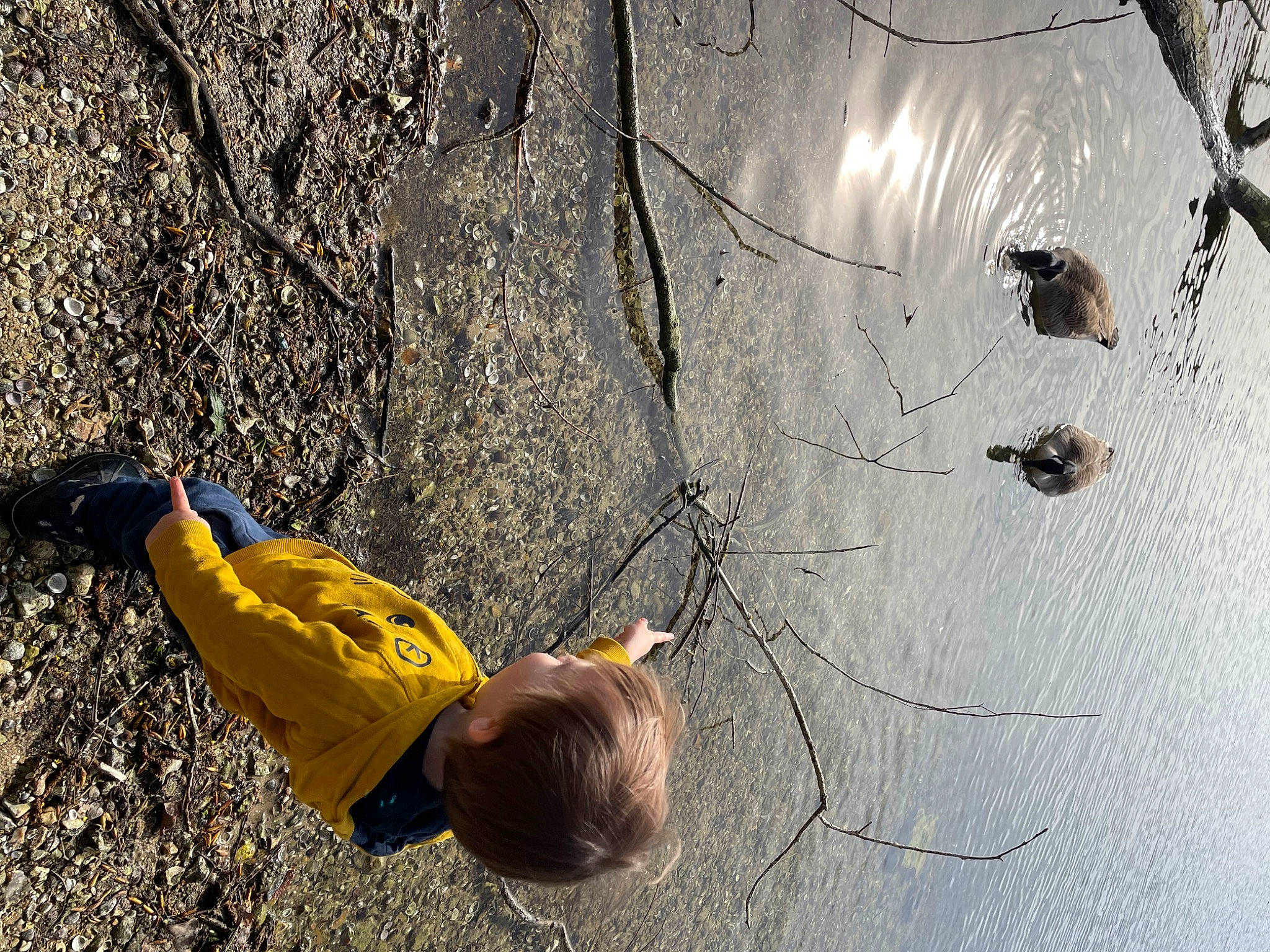 Tom participe au concours pour gagner de l'argent avec cette photo : adventure, asphalt, branch, concrete, fun, grass, leisure, people_in_nature, person, plant, recreation, road_surface, rock, shadow, slope, soil, sport_climbing, tree, trunk, wood