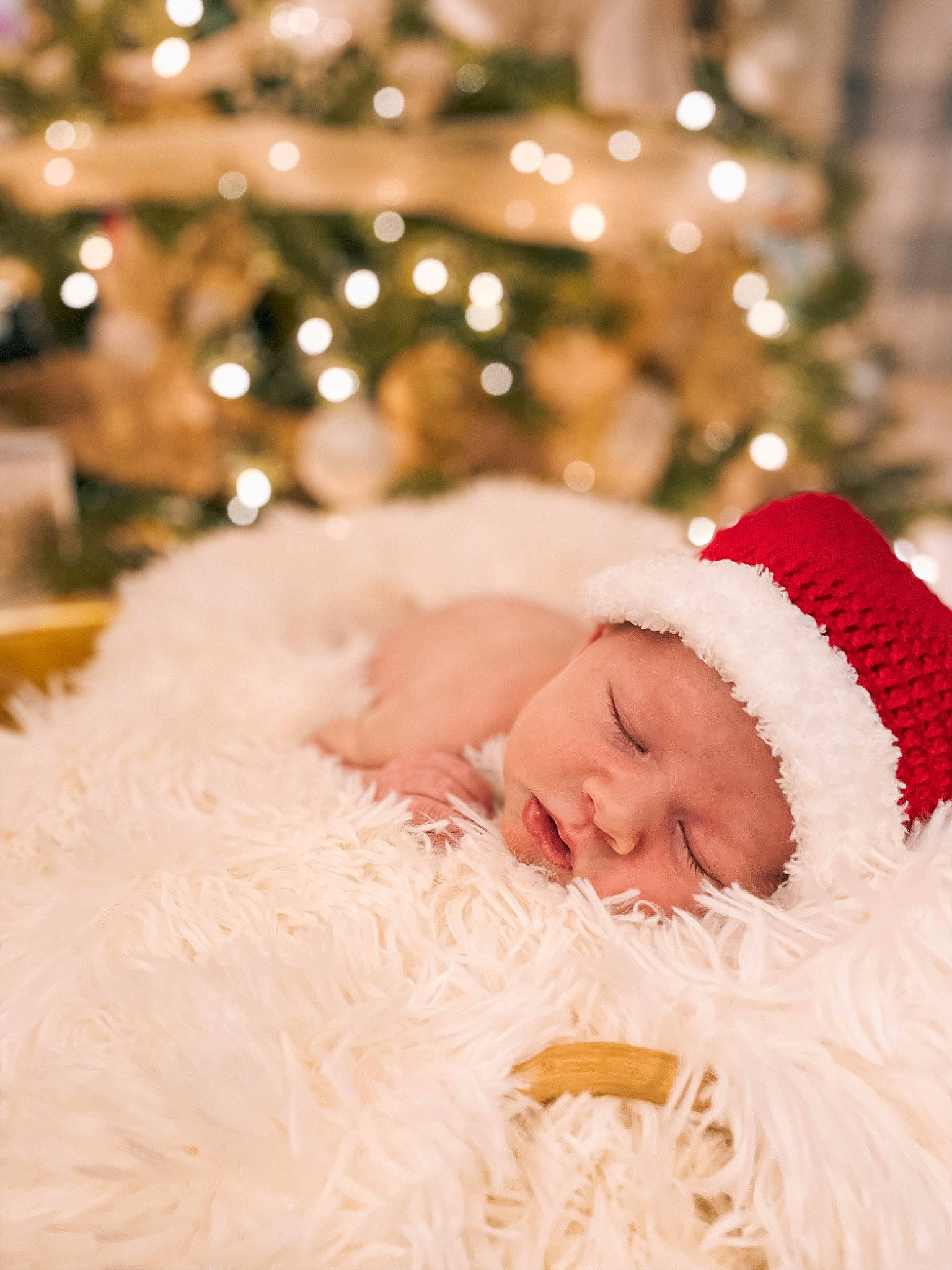 Romer joined the competition — help win amazing prizes! baby, baby_toddler_clothing, christmas, christmas_decoration, christmas_eve, christmas_ornament, conifer, event, face, fun, fur, grass, happy, hat, headwear, holiday, person, santa_claus, toddler, tradition