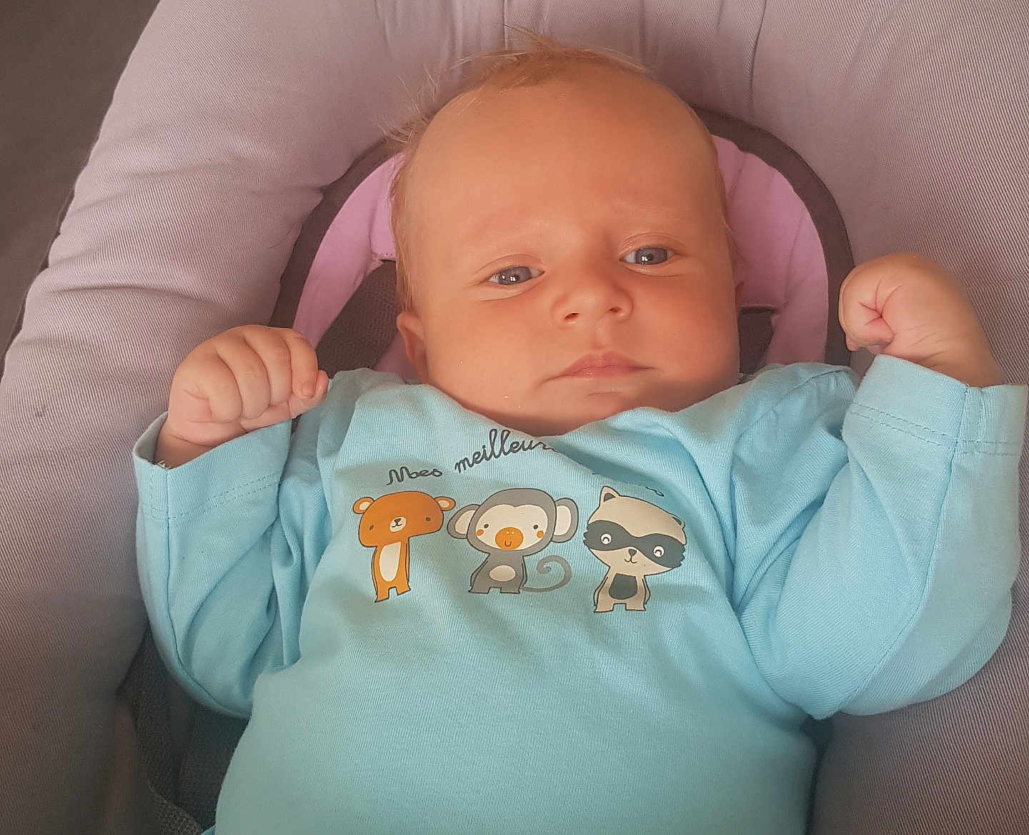 Gaston participe au concours pour gagner de l'argent avec cette photo : animal_print, baby, blue_clothing, child, comfort, cushion, cute, expression, eyes, face, fists, flexing, head, indoors, infant, onesie, portrait, seat, skin, small_hands