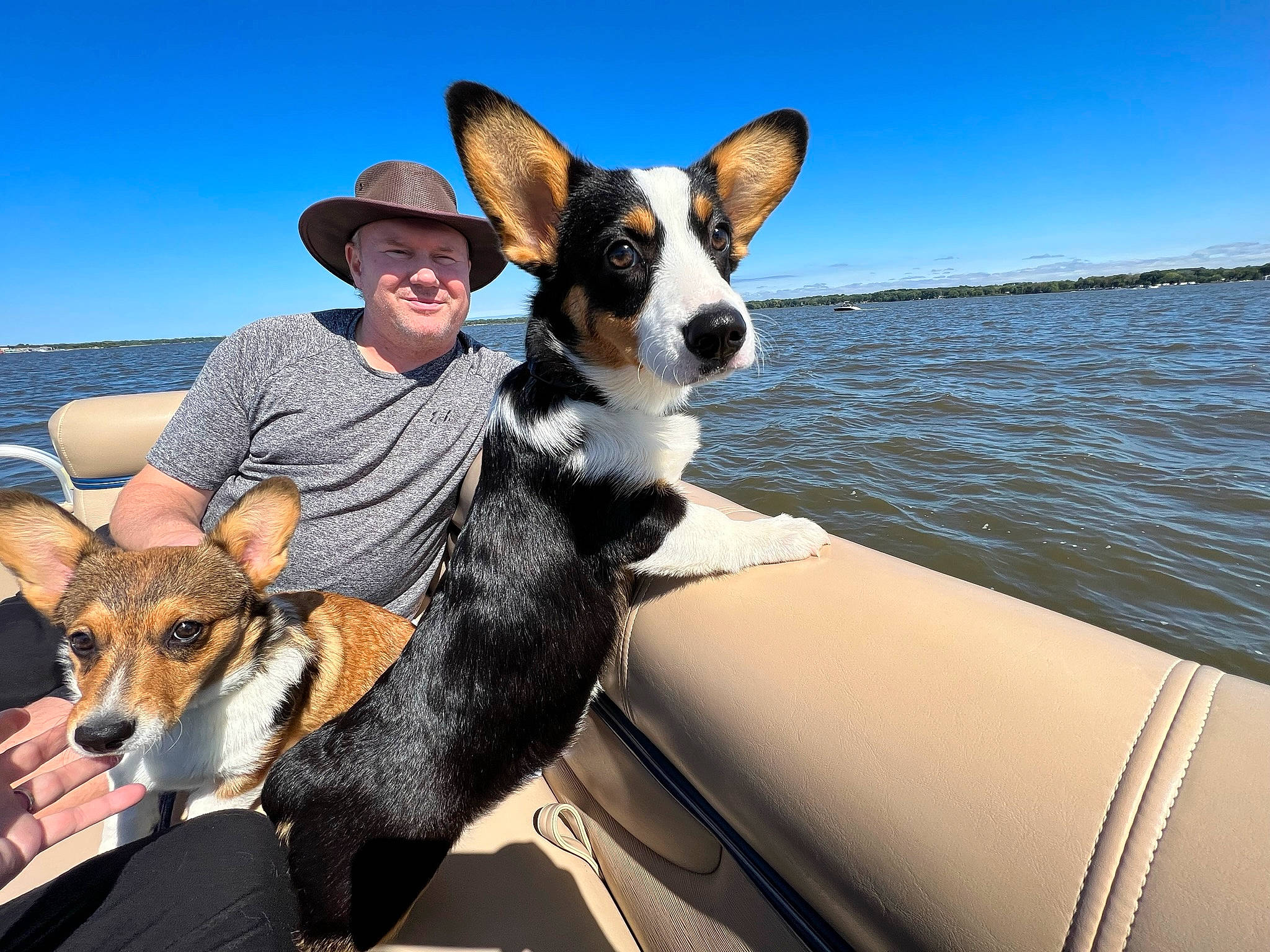 Lulabelle is registered to the contest to win money with this photo: boat, carnivore, companion_dog, dog, dog_breed, fawn, hat, leisure, mammal, recreation, sky, smile, snout, sun_hat, sunglasses, travel, vehicle, vertebrate, water, watercraft