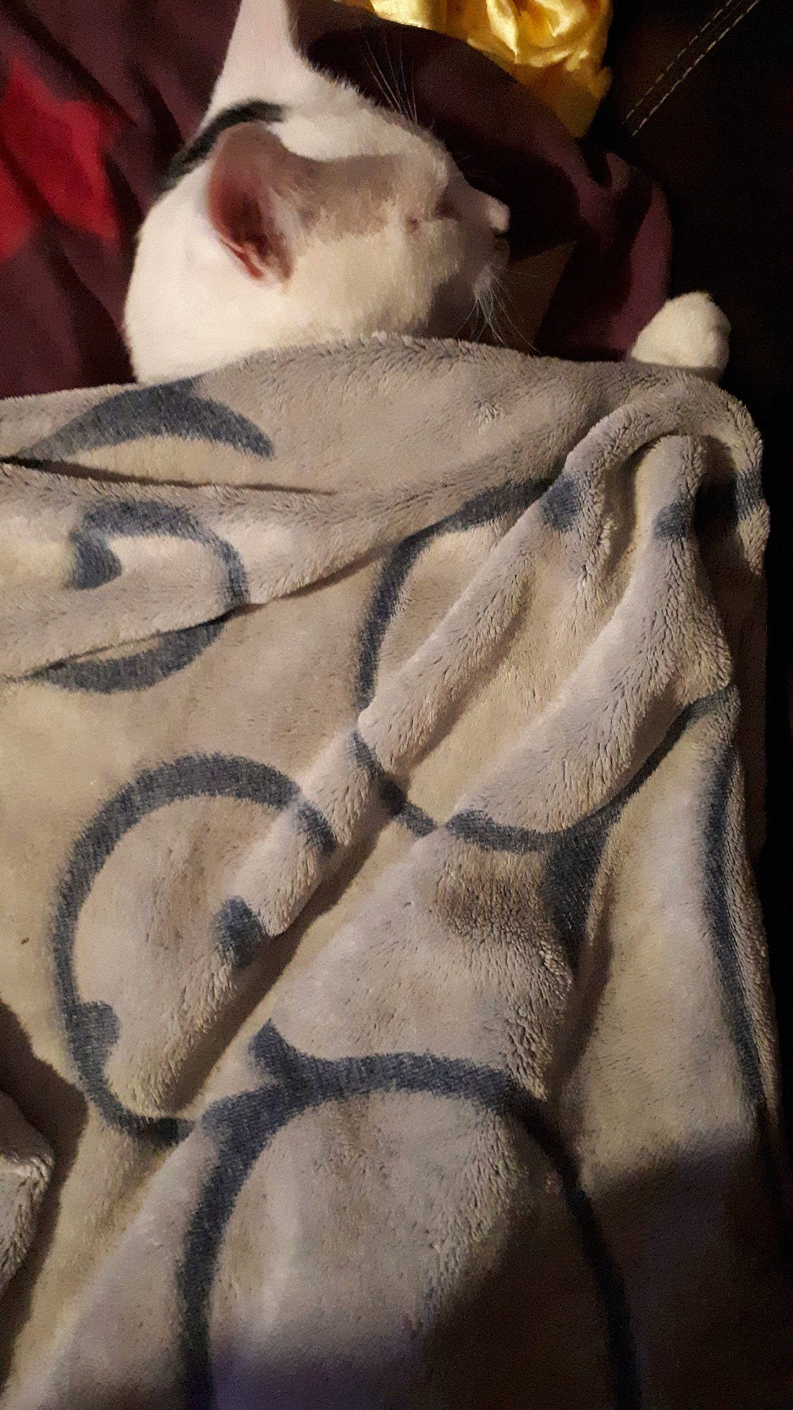 Comète a rejoint le concours — aidez-le/la à gagner de superbes lots ! art, drawing, fawn, textile, visual_arts