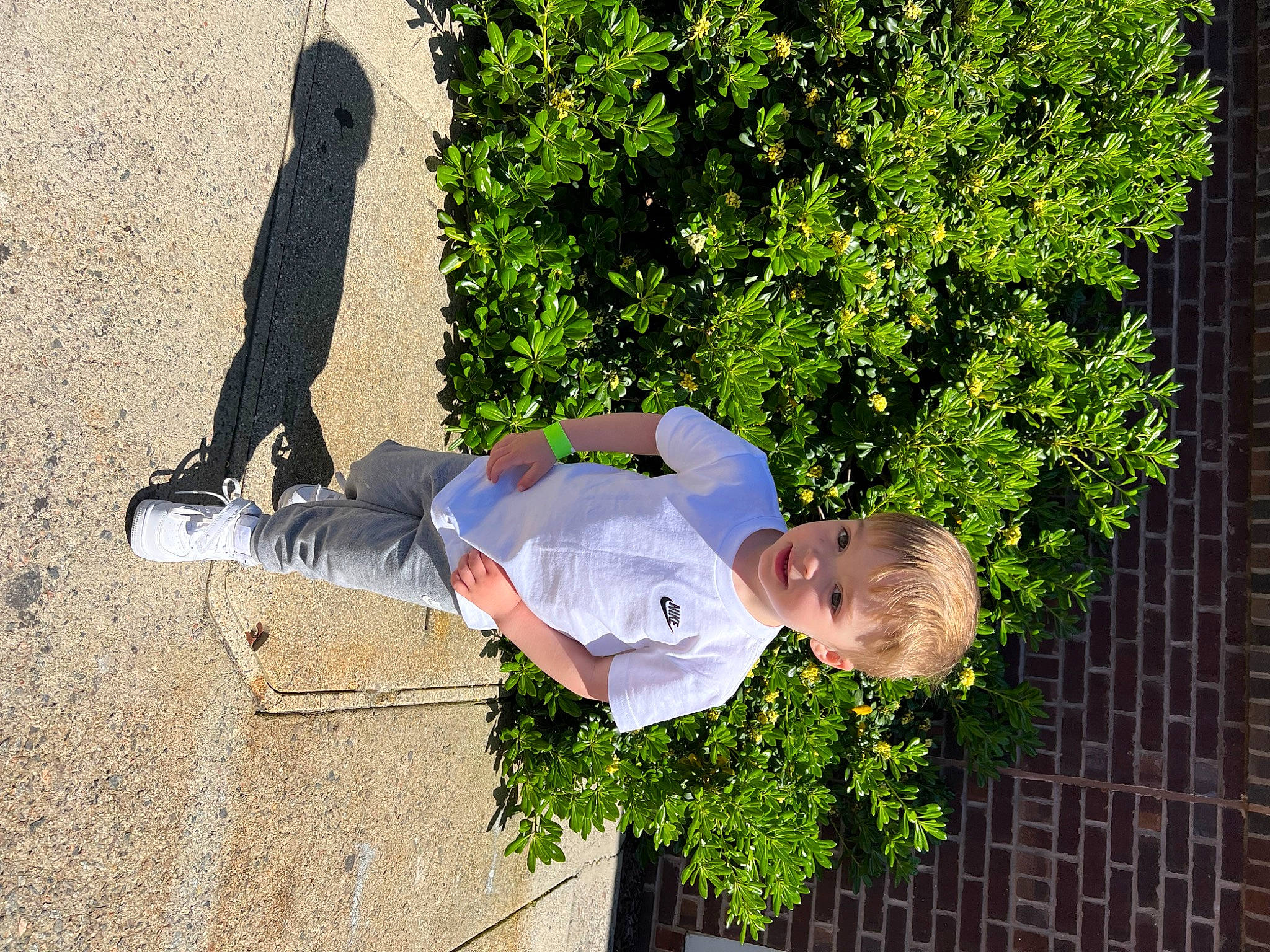 Antonio joined the competition — help win amazing prizes! child, fun, grass, happy, hat, human_leg, leg, leisure, people_in_nature, person, plant, shadow, shrub, sitting, sneakers, toddler, tree, walking_shoe