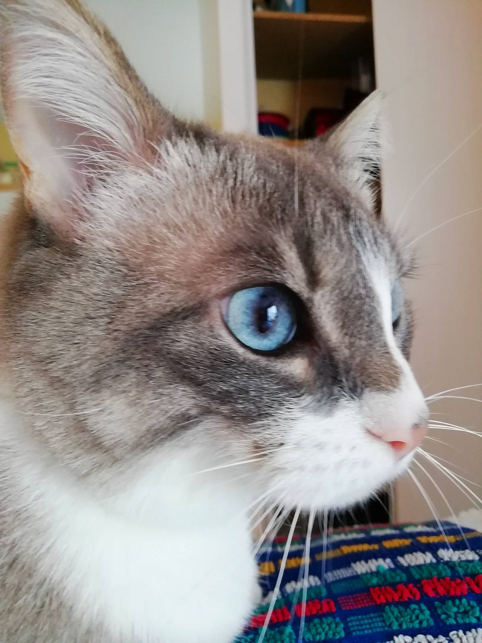 Opaline