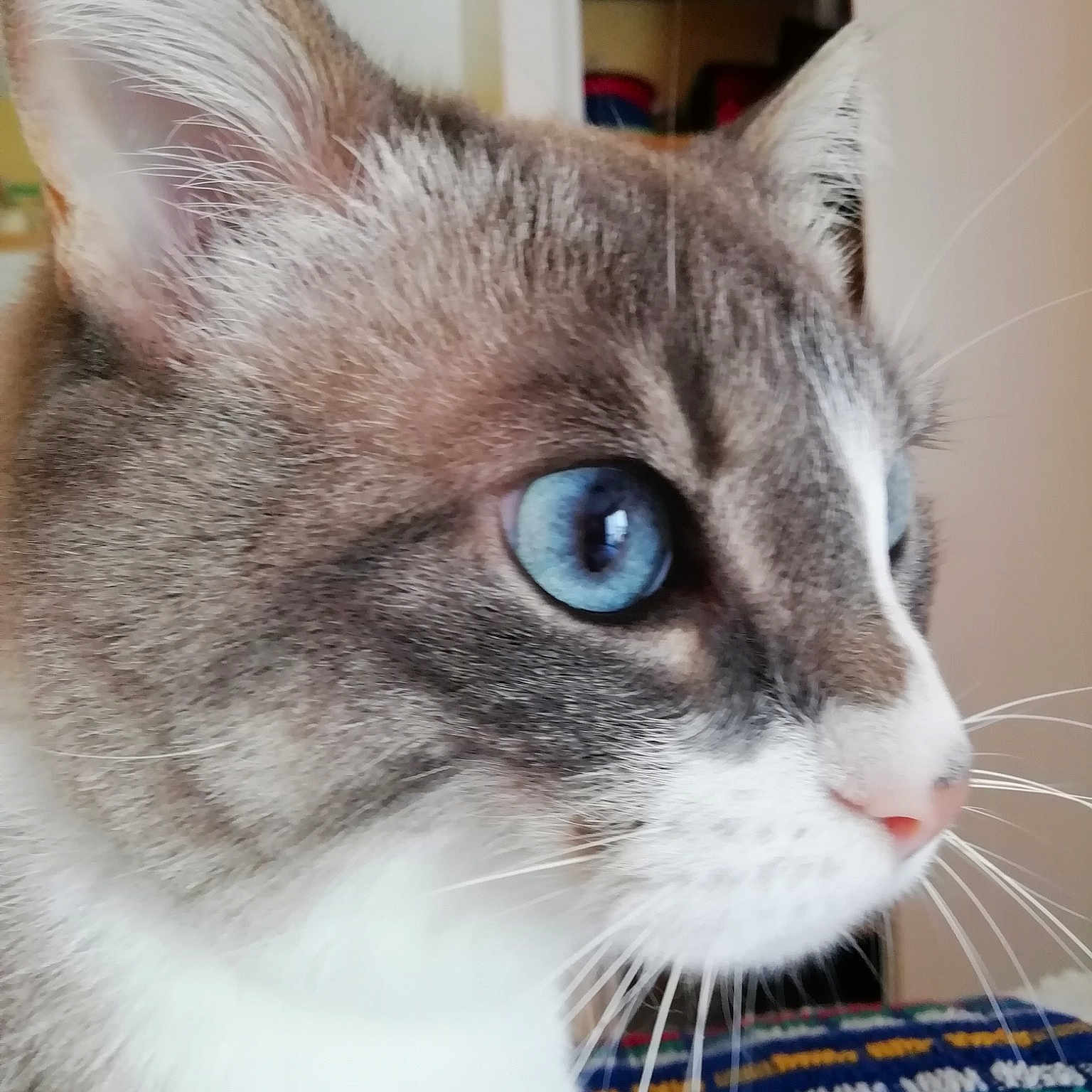 Opaline