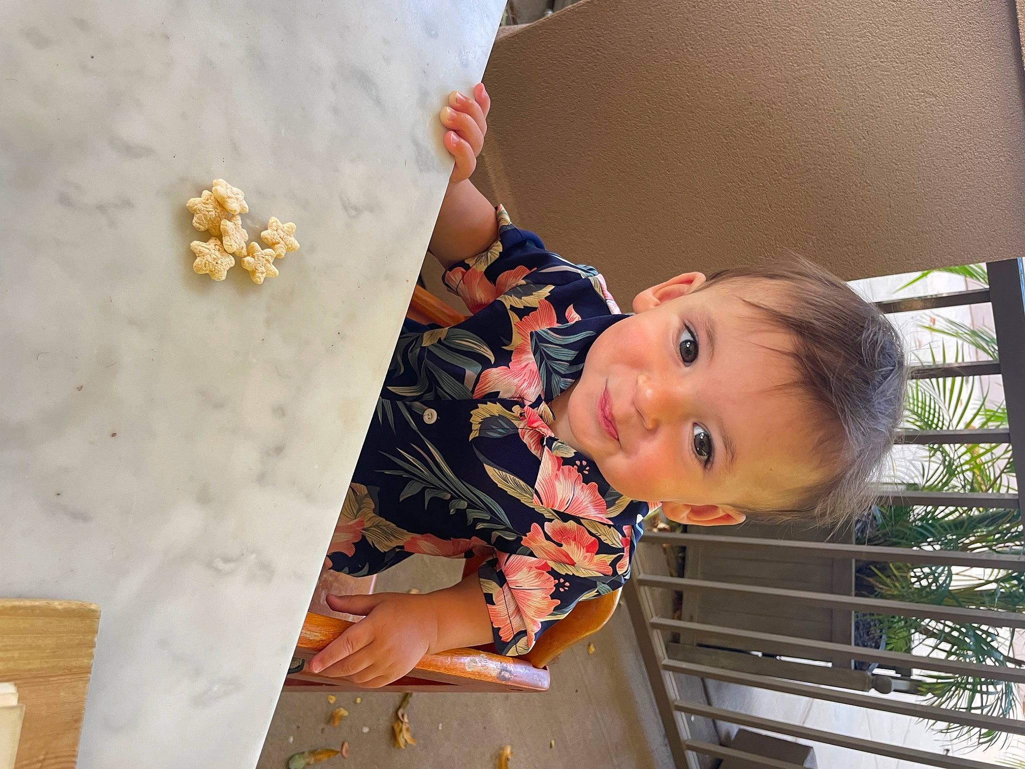 Jaxson is registered to the contest to win money with this photo: baby, baby_products, baby_toddler_clothing, child, fun, happy, leisure, pattern, person, sitting, smile, toddler, tree, wood