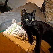 Boris participe au concours pour gagner de l'argent avec cette photo :