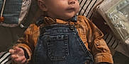 öwen a rejoint le concours — aidez-le/la à gagner de superbes lots ! animal, baby, bodypart, canine, clothing, couch, dog, face, finger, furniture, hand, happy, head, jeans, pants, person, pet, photography, portrait, smile