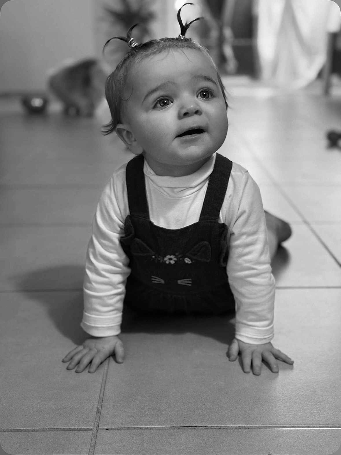 Hilona participe au concours pour gagner de l'argent avec cette photo : baby, child, infant, crawling, pigtails, black_and_white, floor, tile, curious, indoors, cat, pet, blurred_background, long_sleeve_shirt, overalls, cute, portrait, hands, expression, home