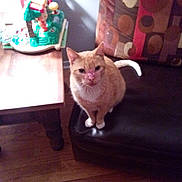 Harley is registered to the contest to win money with this photo: