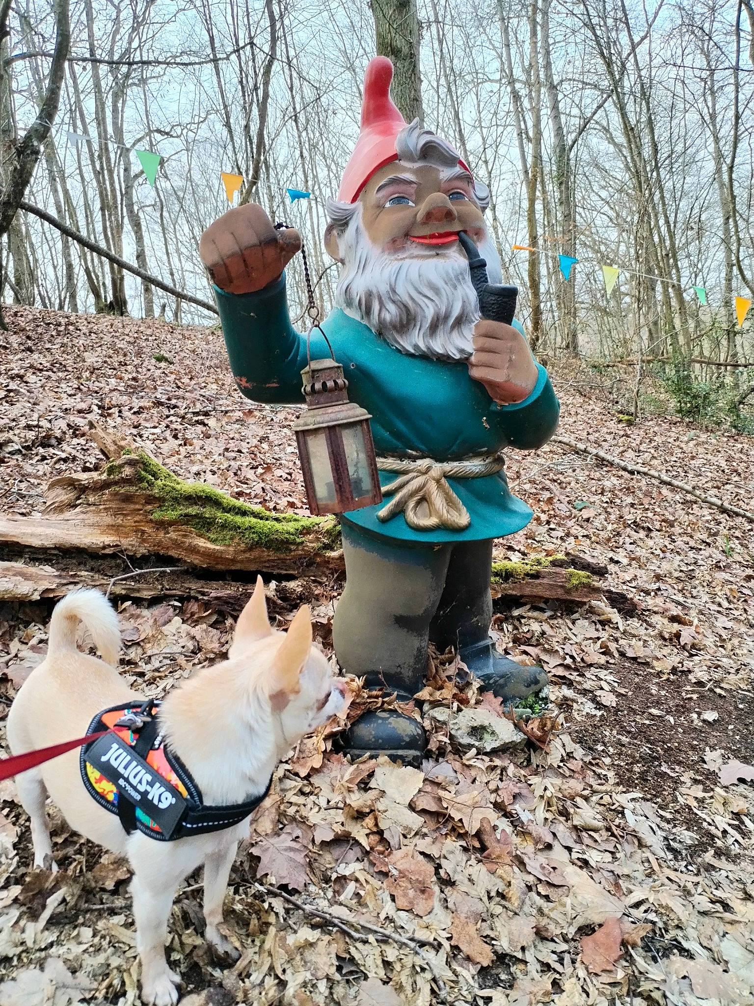 Maïko a rejoint le concours — aidez-le/la à gagner de superbes lots ! beard, carnivore, companion_dog, dog, fawn, garden_gnome, grass, hat, lawn_ornament, leisure, mammal, people_in_nature, plant, recreation, sky, soil, toy, tree, vertebrate, winter
