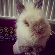 Hotmail participe au concours pour gagner de l'argent avec cette photo :