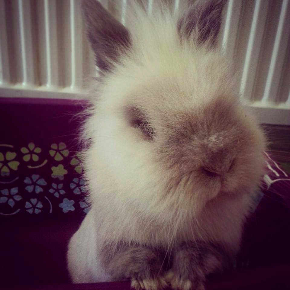 Hotmail participe au concours pour gagner de l'argent avec cette photo :