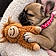 Lucy