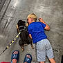 Diamond Cash Rarer is registered to the contest to win money with this photo: boy, child, dog, service_dog, harness, leash, concrete_floor, blue_shirt, gray_shorts, lying_down, feet, slippers, cart_wheel, resting, indoors, casual_clothing, summer, cute, pet, animal