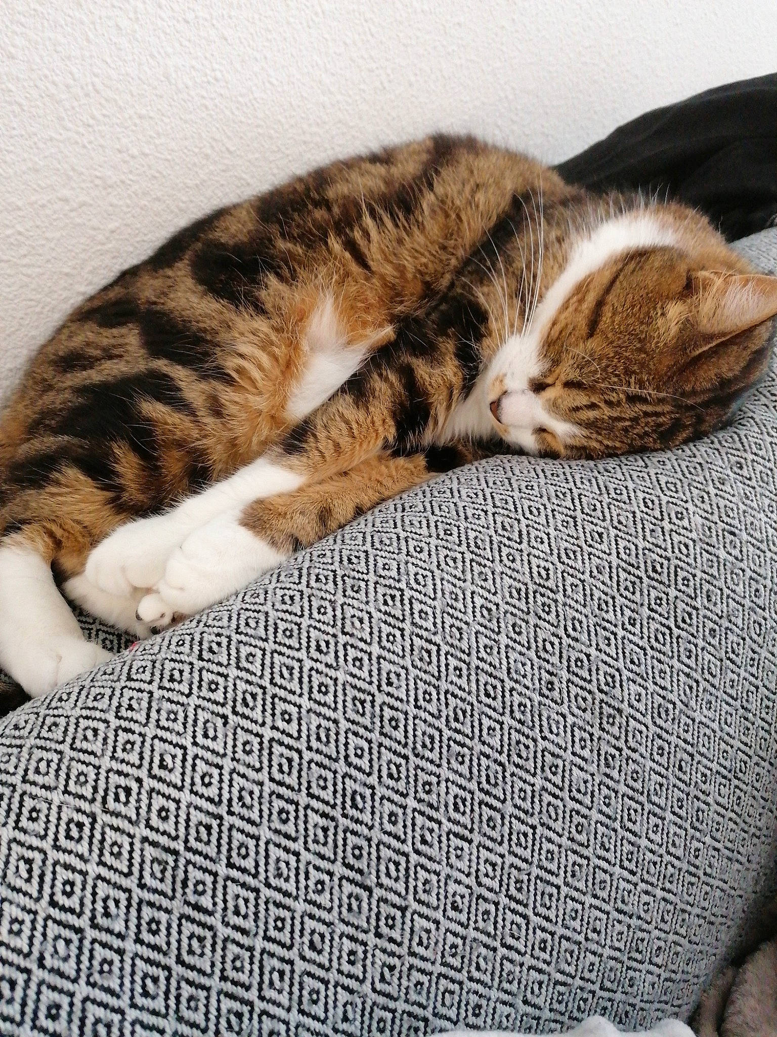 Gaffy
