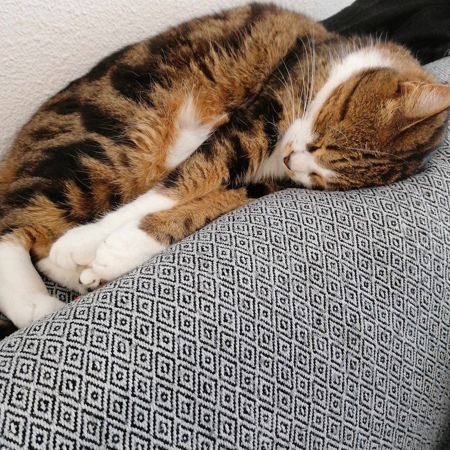 Gaffy
