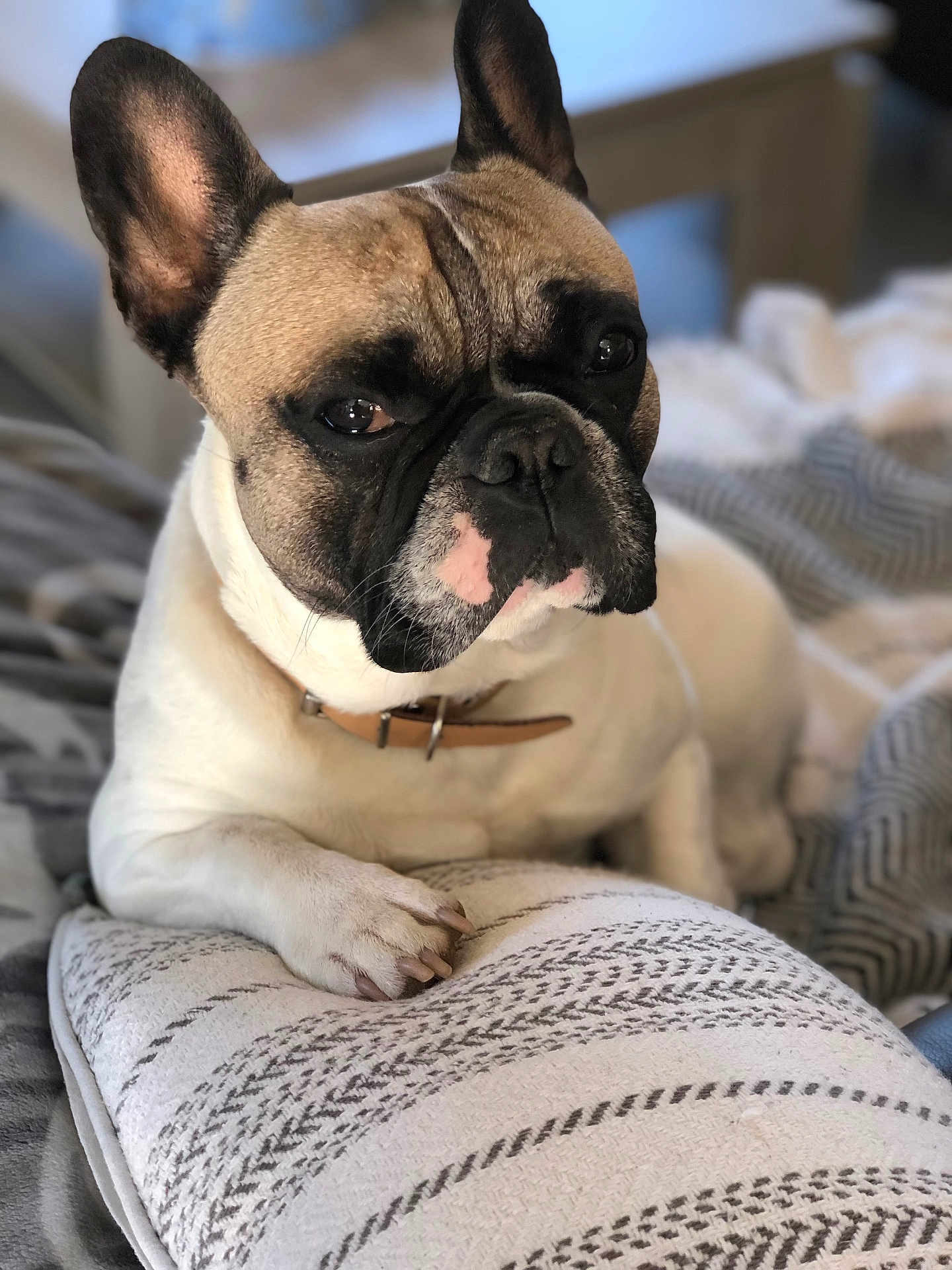 Milka