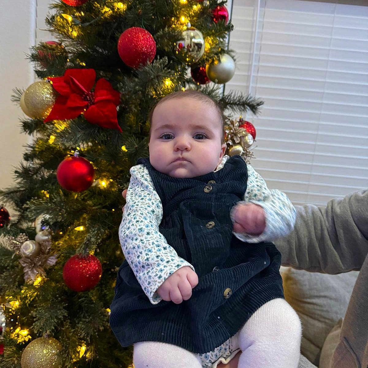 Lia Vana joined the competition — help win amazing prizes! baby, celebration, child, christmas_tree, corduroy_dress, decor, festive, gold_ball, hand, holiday, indoor, lights, ornament, person, red_ball, seasonal, sofa, white_tights, window_blinds, winter_clothing