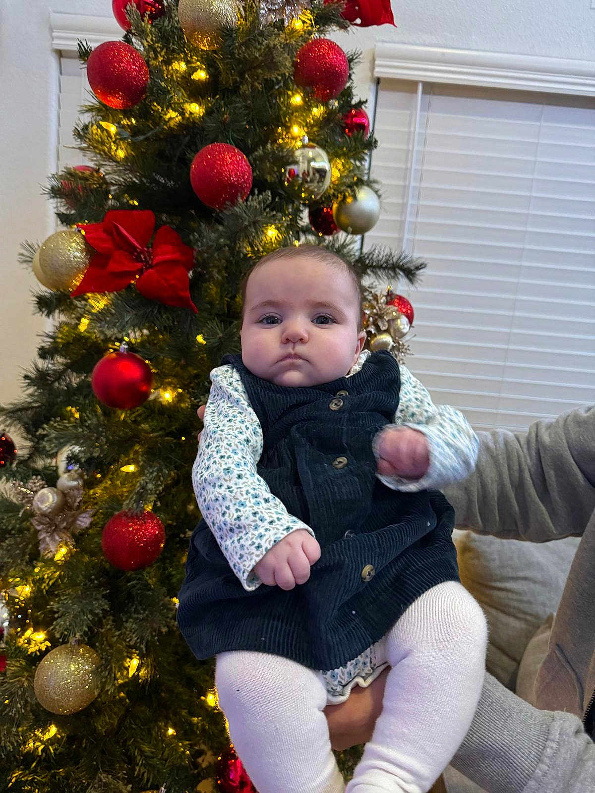 Lia Vana joined the competition — help win amazing prizes! baby, celebration, child, christmas_tree, corduroy_dress, decor, festive, gold_ball, hand, holiday, indoor, lights, ornament, person, red_ball, seasonal, sofa, white_tights, window_blinds, winter_clothing