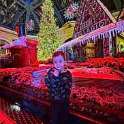 Hovhannes Garbis joined the competition — help win amazing prizes! architecture, ceiling, celebration, child, christmas_tree, decorations, festive, flooring, gingerbread_house, green_lights, hat, holiday_lights, indoor, person, poinsettias, pose, red_lights, smile, toy, winter