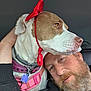 dog, man, beard, face, pet, collar, red_bow, car_interior, close_up, affection, animal, human, friendship, headband, leisure, casual, portrait, brown_and_white_dog, pink_harness, hand