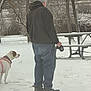 boots, cold_weather, dog, harness, hat, jeans, leash, nature, outdoor, park, person, pet, picnic_table, quiet, seasonal, snow, tree, waiting, walking, winter_clothing