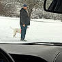 beard, cap, car_interior, cold_weather, dashboard, dog, jacket, leash, man, nature, outdoor, roadside, side_mirror, snow, snowy_ground, standing, steering_wheel, tree, white_dog, winter