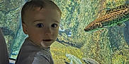 Jonathan is registered to the contest to win money with this photo: child, toddler, aquarium, fish, glass, underwater, rocks, plaid_shorts, gray_shirt, sneakers, informational_display, sea_life, water, sitting, curious, indoor, exhibit, person, blue_shoes, education